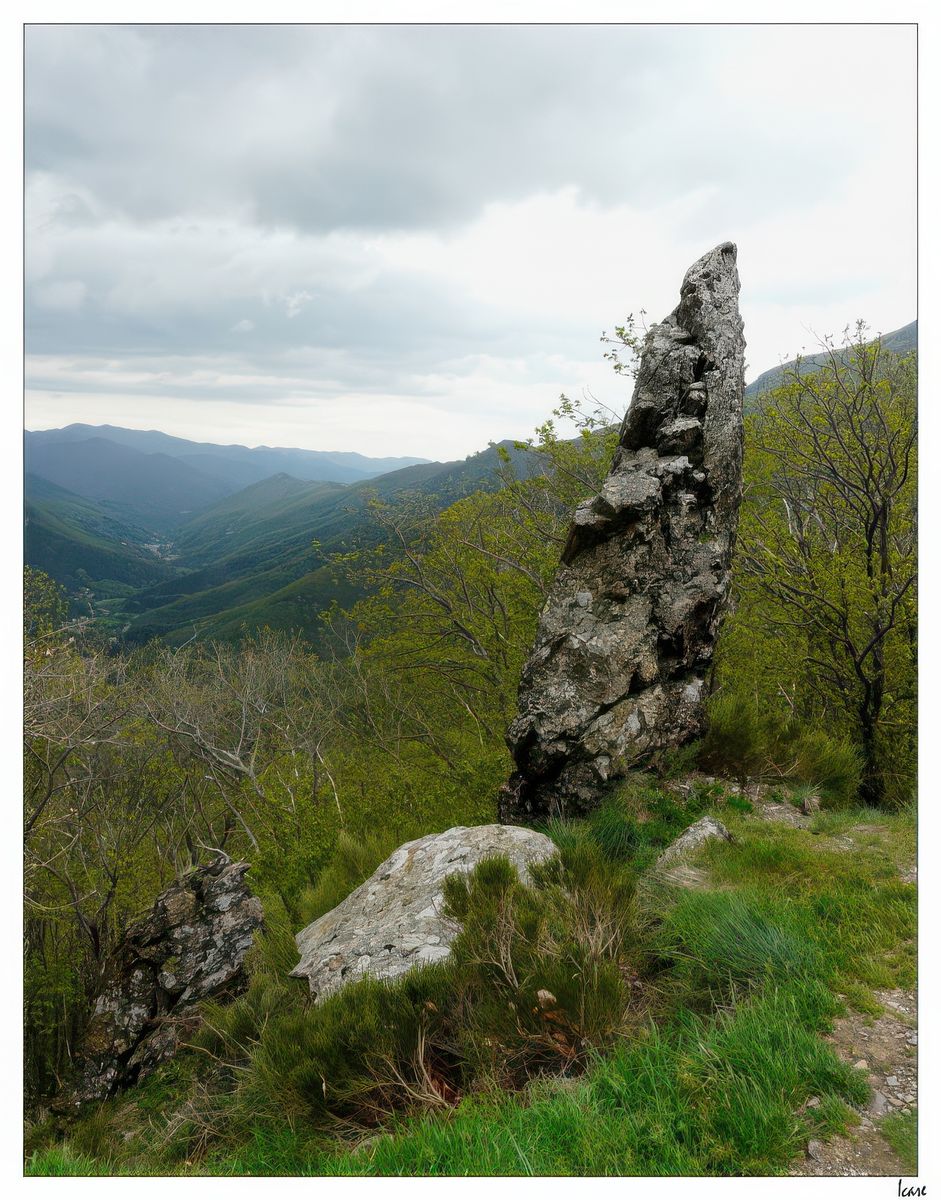 Menhir au Mont Aigoual.