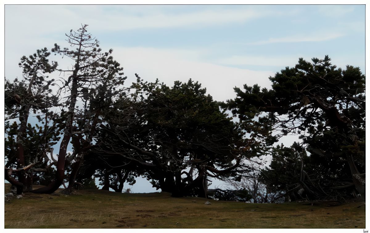 Allez marchons, on a vraiment l'impression qu'on va s'envoler. Pour ceux qui connaissent les bourrasques de vent à la Pointe du Raz, c'est un peu la même chose ici!