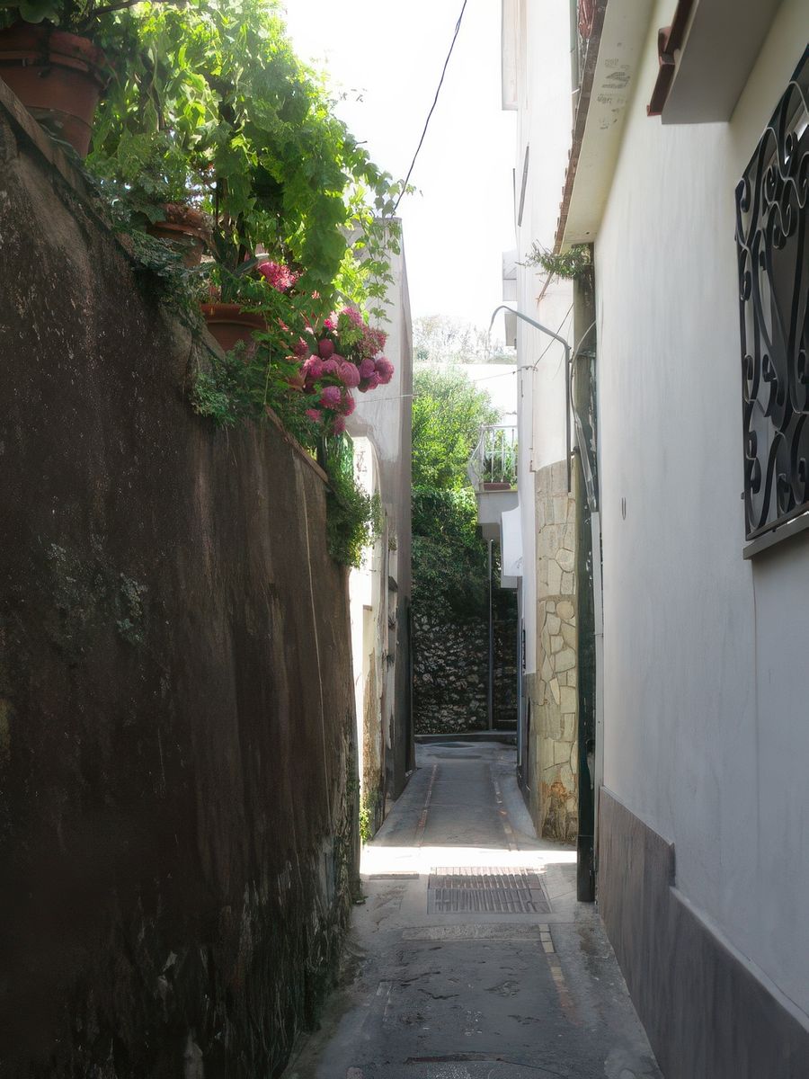 L'île de Capri: Anacapri.