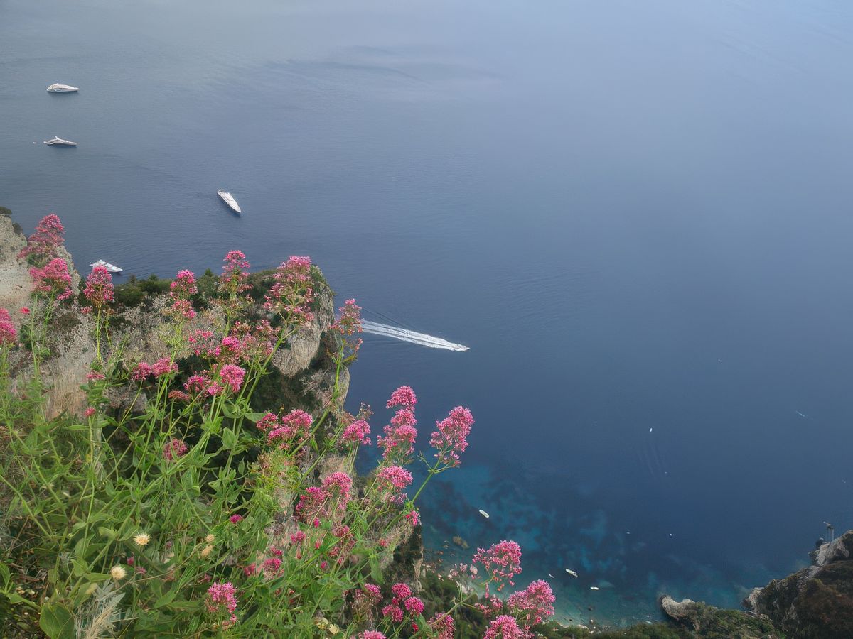 L'île de Capri: Anacapri - vue du Monte Solaro.