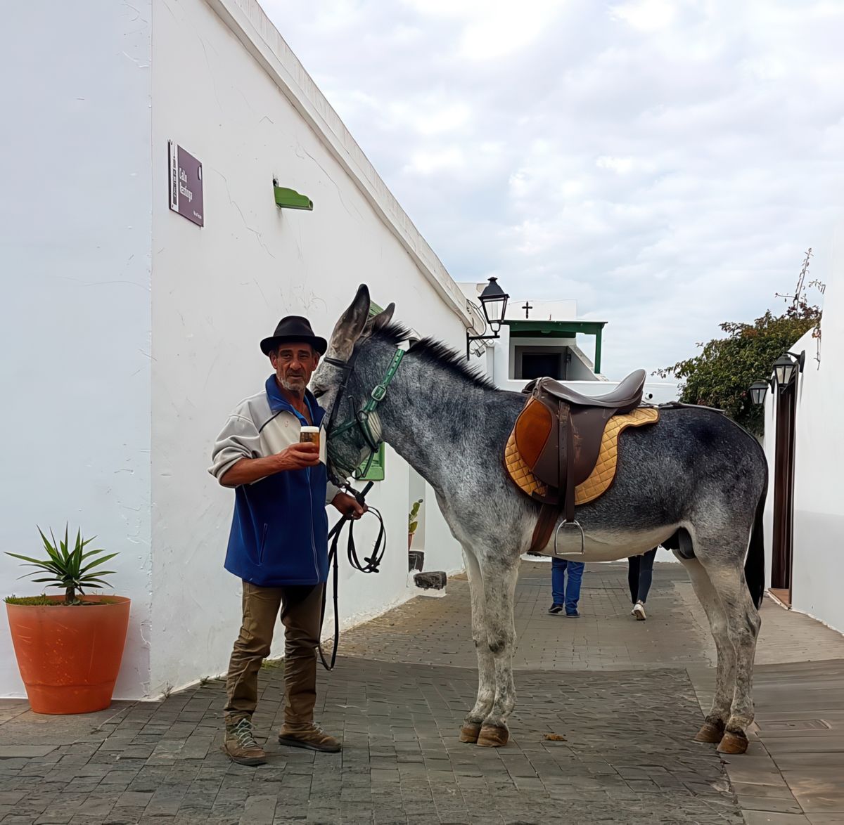 Teguise – Espagne