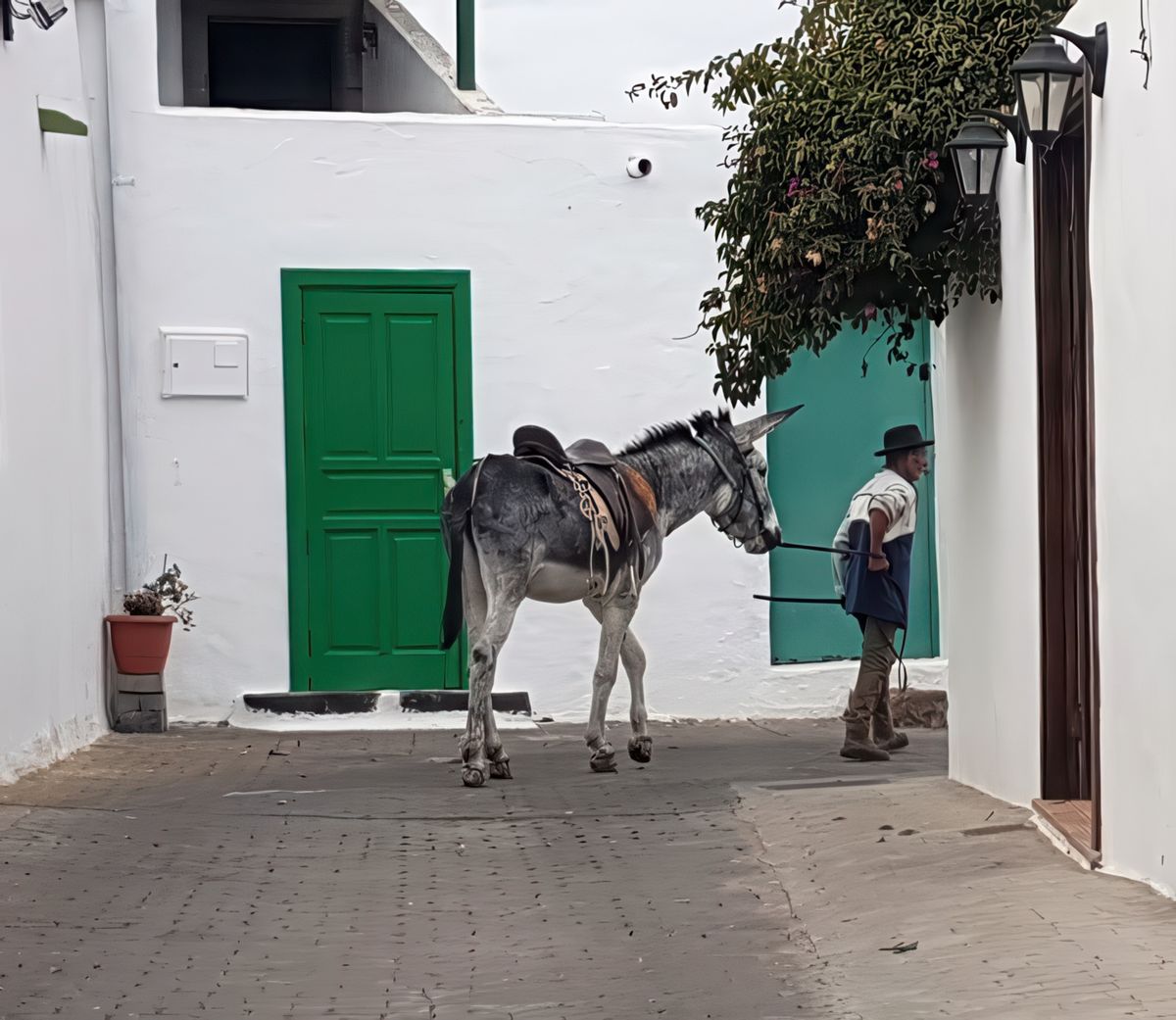 Teguise – Espagne