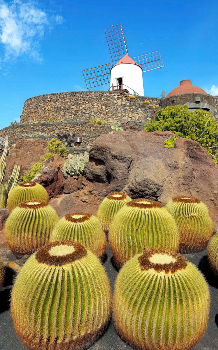 Le jardin de cactus – Espagne