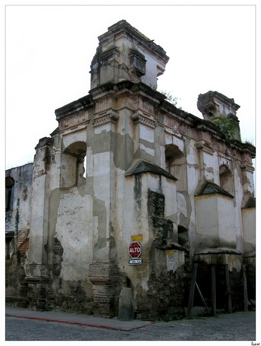 Des ruines vivantes qui se dressent encore vers le ciel.