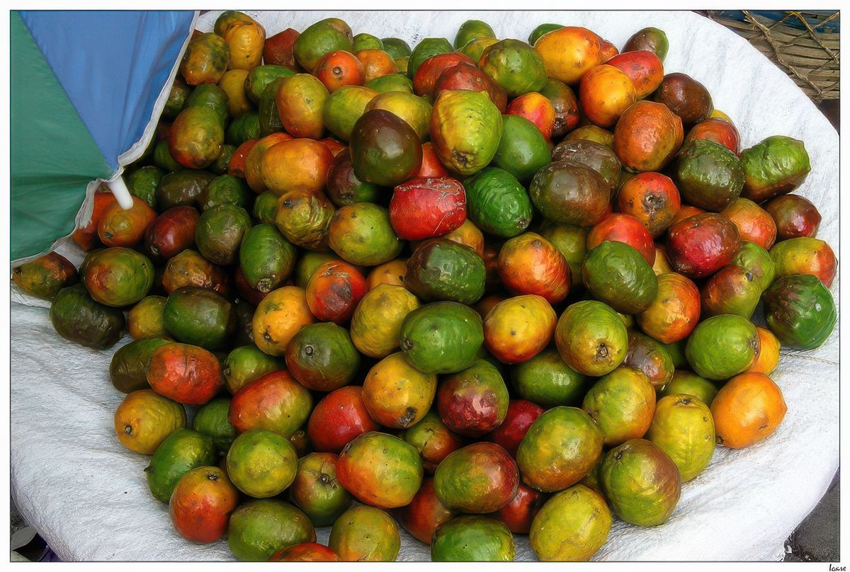 Sur le marché, des jocotes. L'arbre fruitier est originaire d'Amérique centrale et pousse à l'état sauvage dans tout le Guatemala. Ce sont des fruits verts et rouges de la taille d'un petit œuf.
