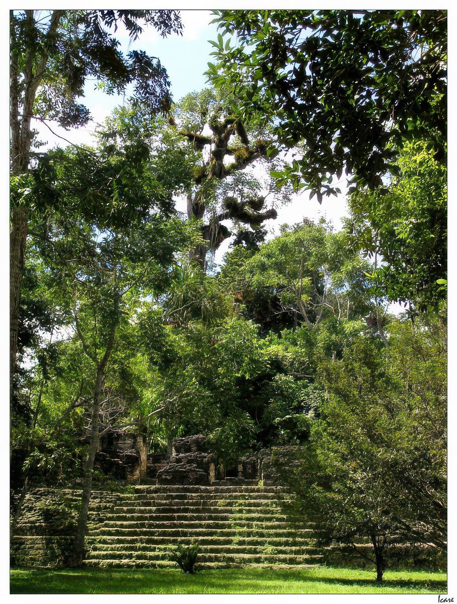 A travers la végétation, une des structures de la Plaza des Sept Temples.