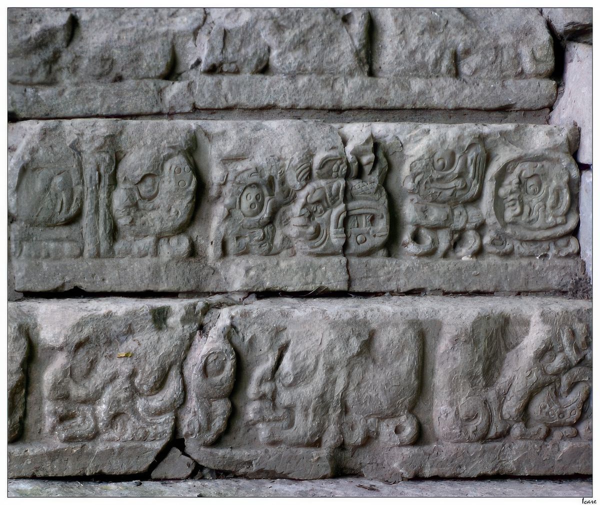 Détail des glyphes sur les marche de l'escalier des Hiéroglyphes.