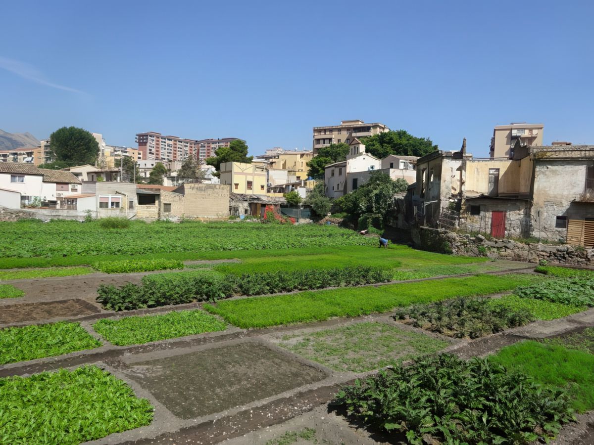 Palerme: quartier de Dannisini.