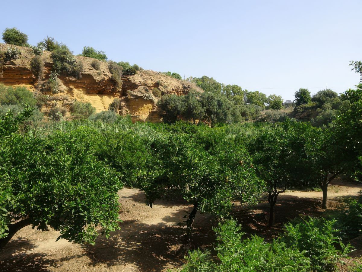 Agrigente: Vallée des Temples - giardino della Kolymbethra.