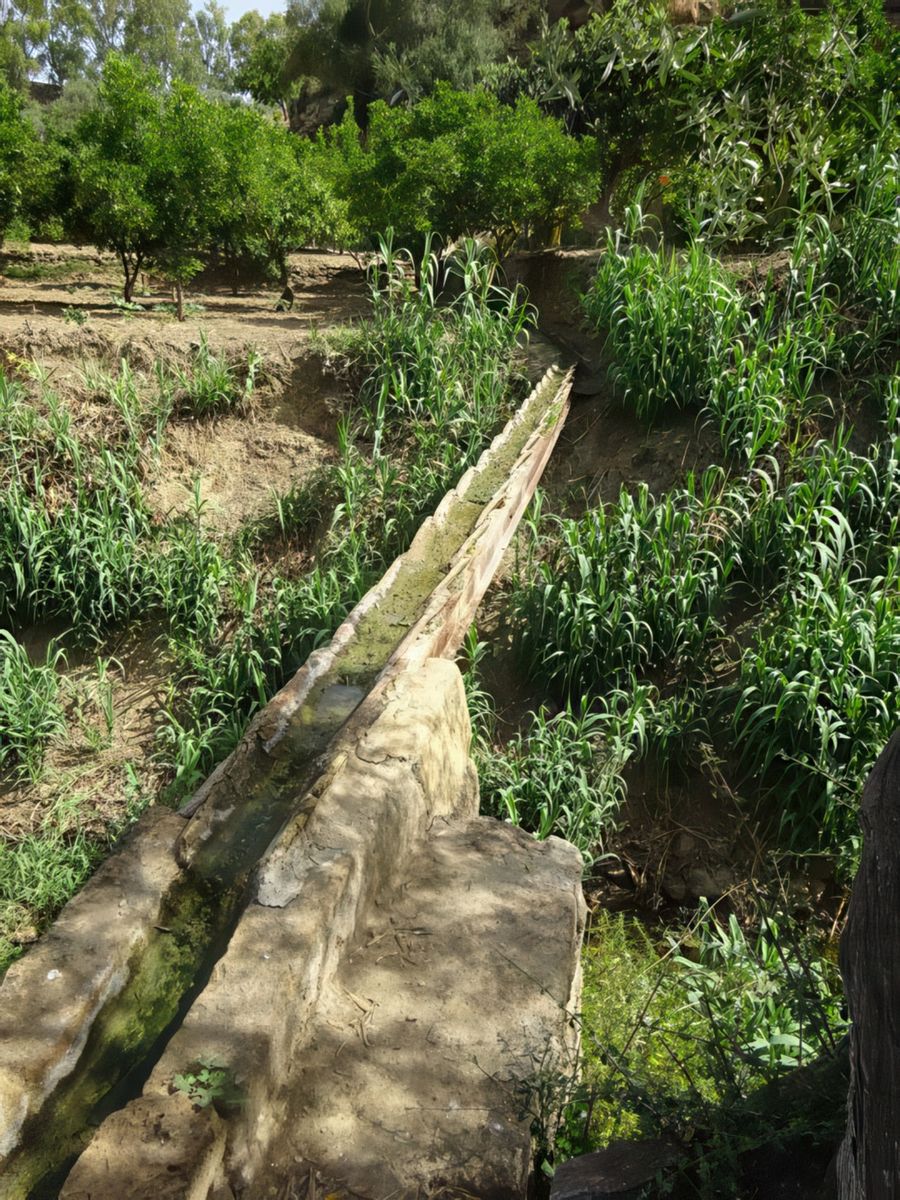 Agrigente: Vallée des Temples - giardino della Kolymbethra.