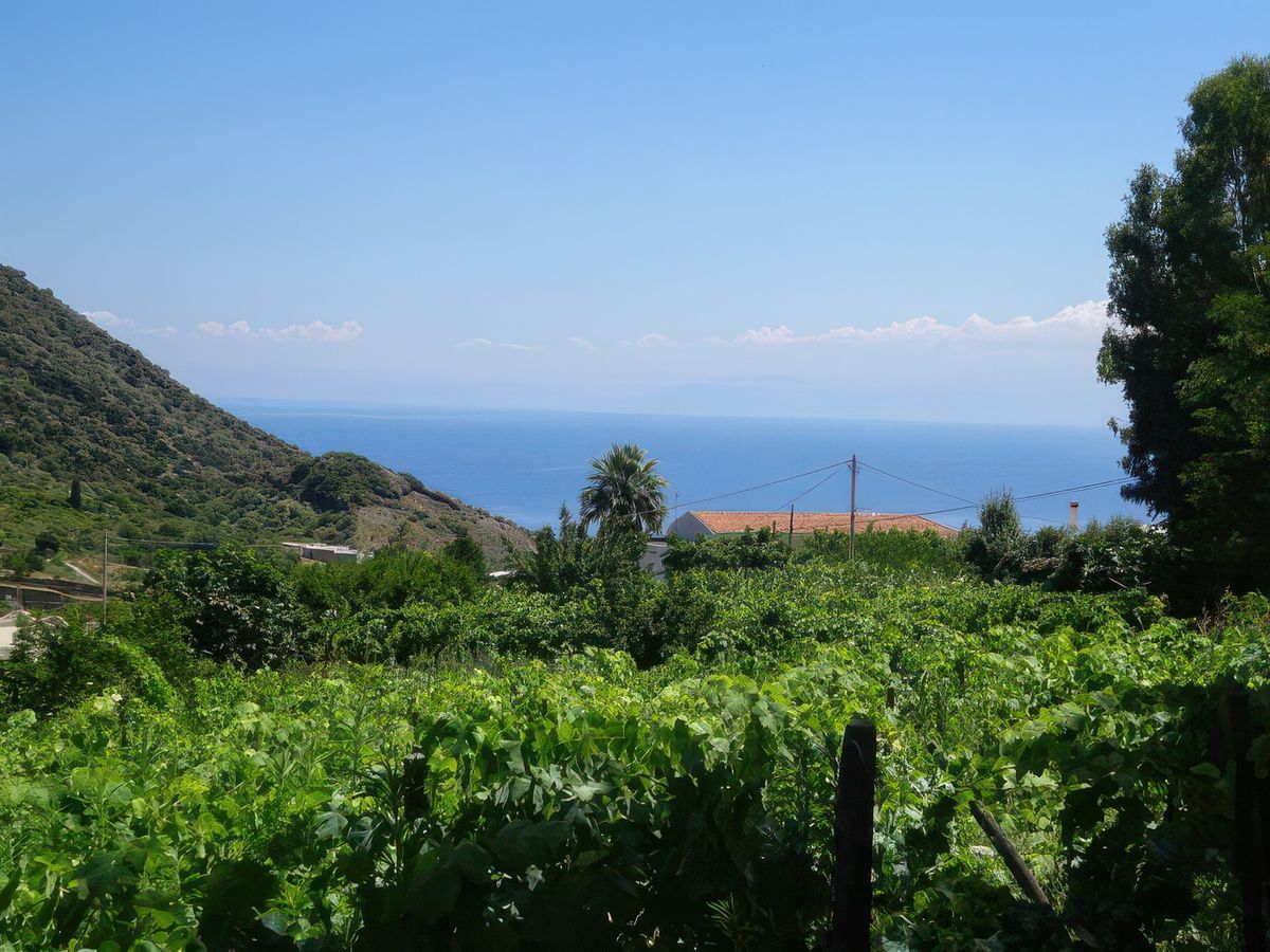 Environs de Leni.