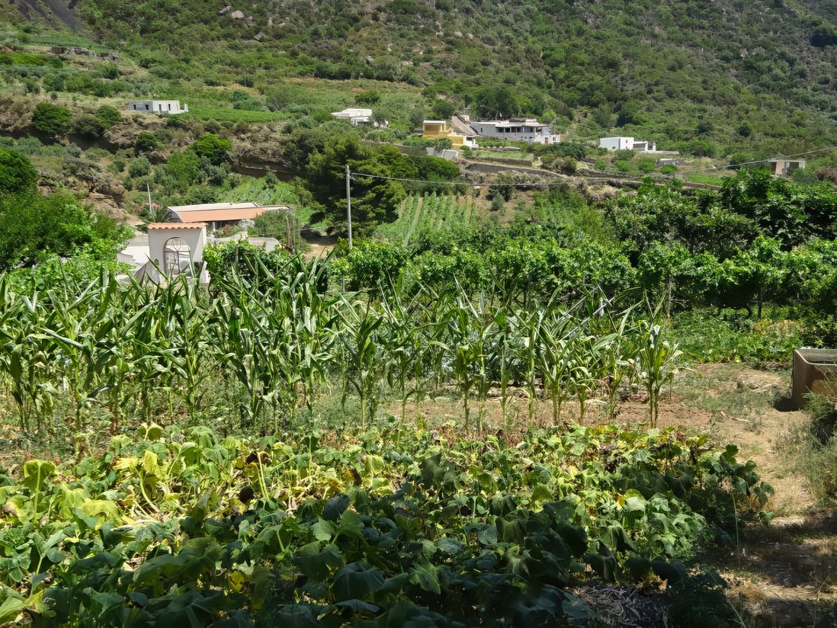 Environs de Leni.