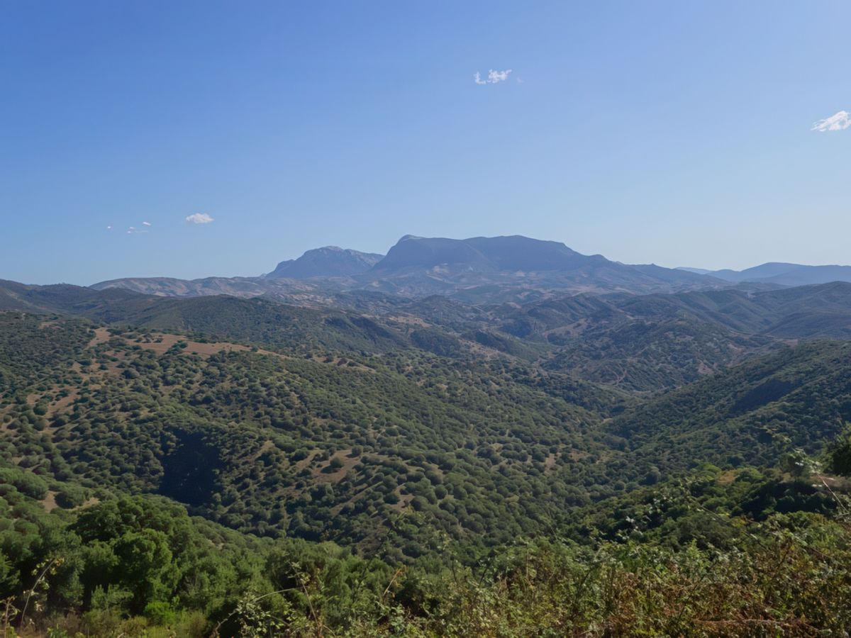 Région de la Barbagia.