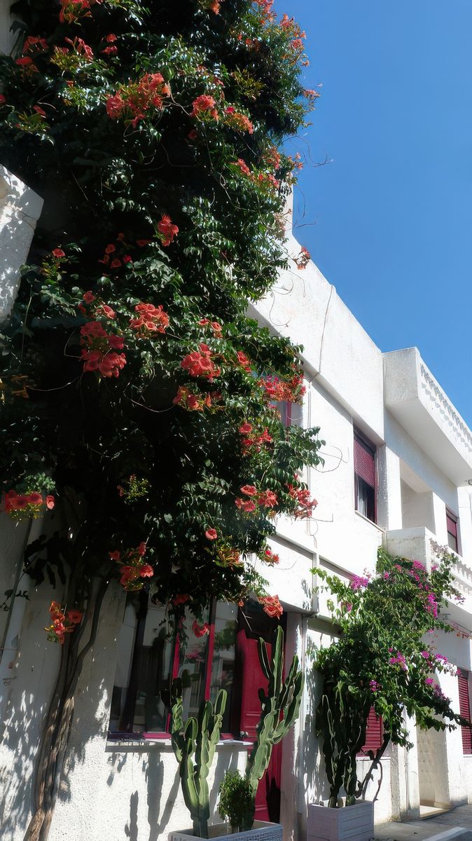 Le village est bien entretenu, maisons peintes et fleurs partout.
