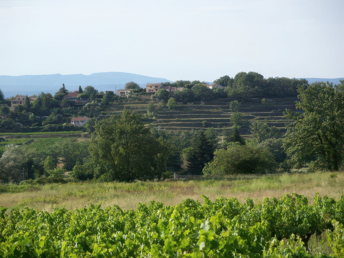 Campagne (Carsan)