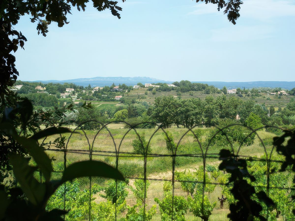 Campagne à Carsan