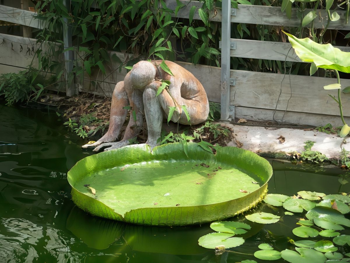 Ferme aux crocodiles