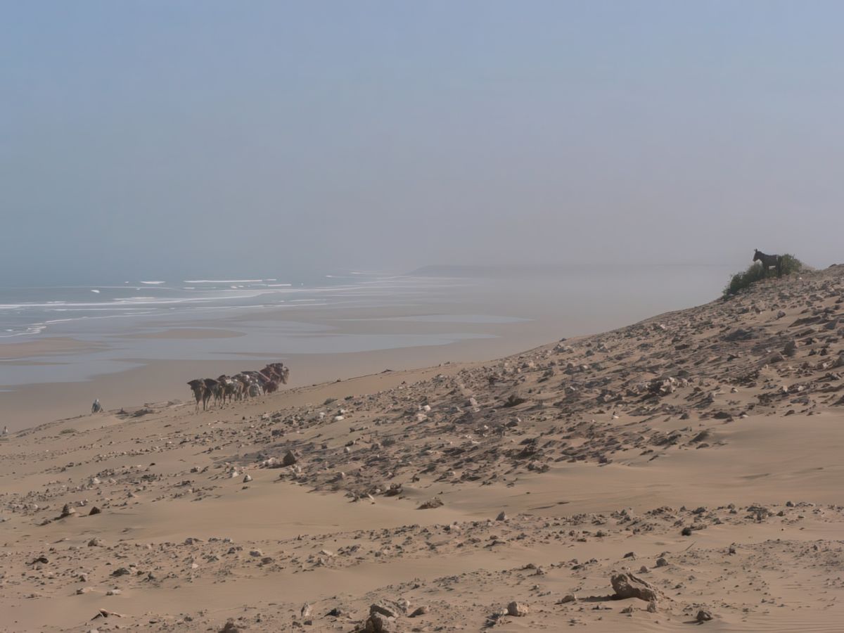 Brume de chaleur sur l'océan