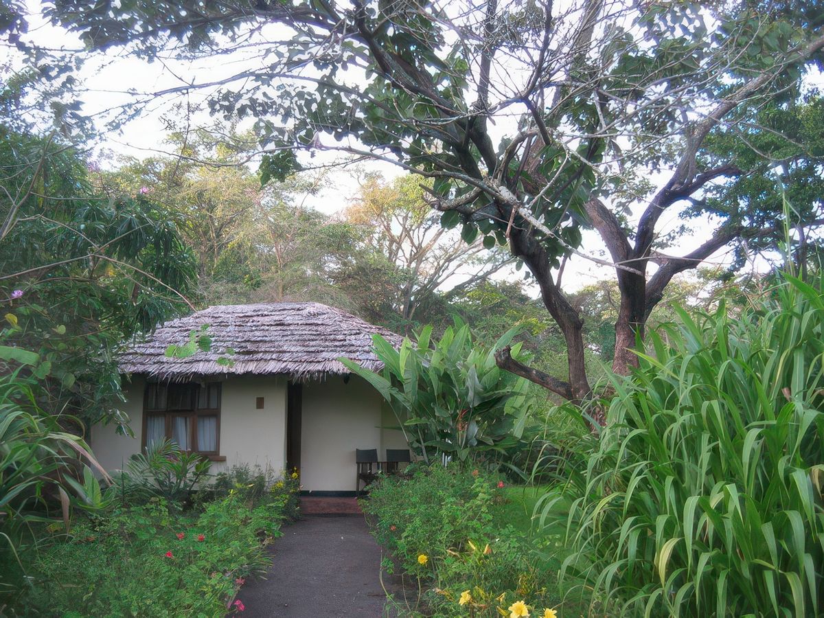 Moivaro Coffee Lodge, notre case