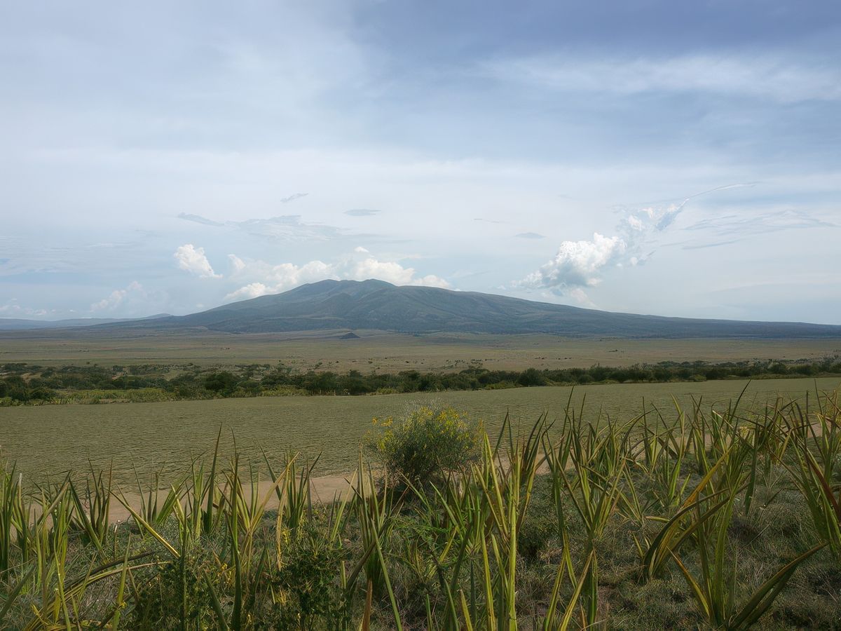 La vue depuis notre tente à Olduvai
