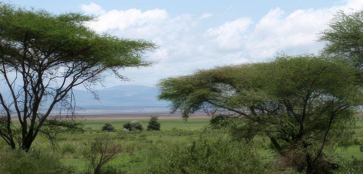 Photo de voyage en  Tanzanie