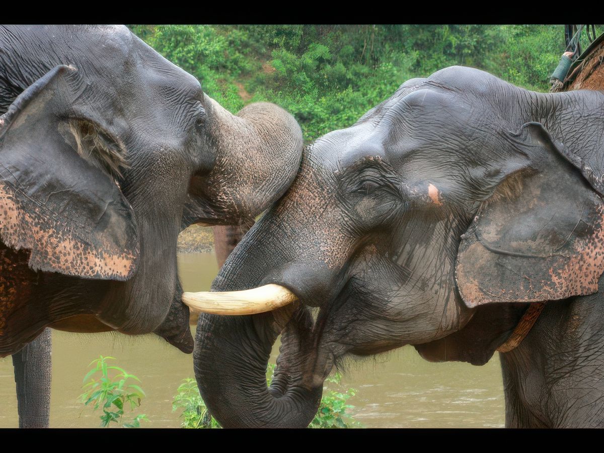 Un petit calin...