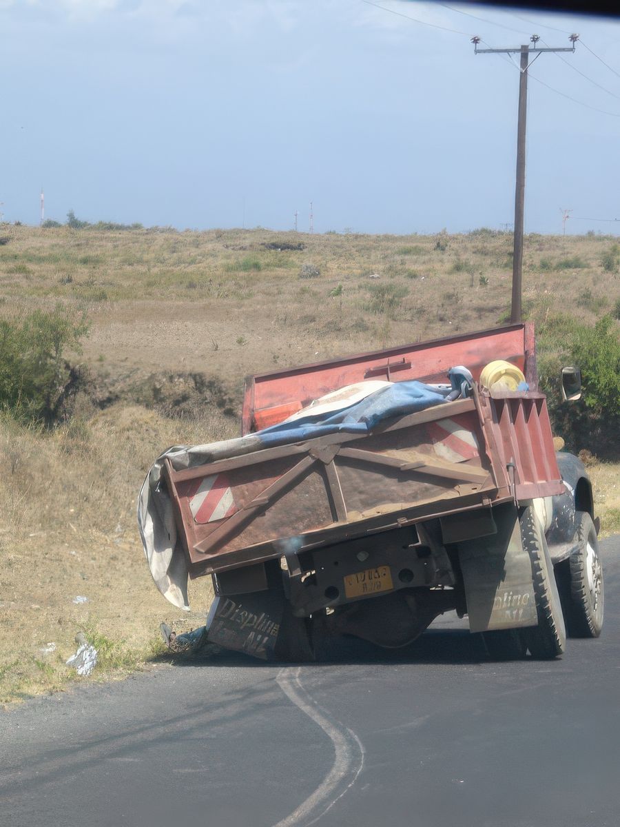 En panne en pleines pampa africaine
