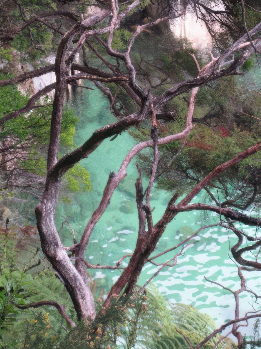 Abel Tasman