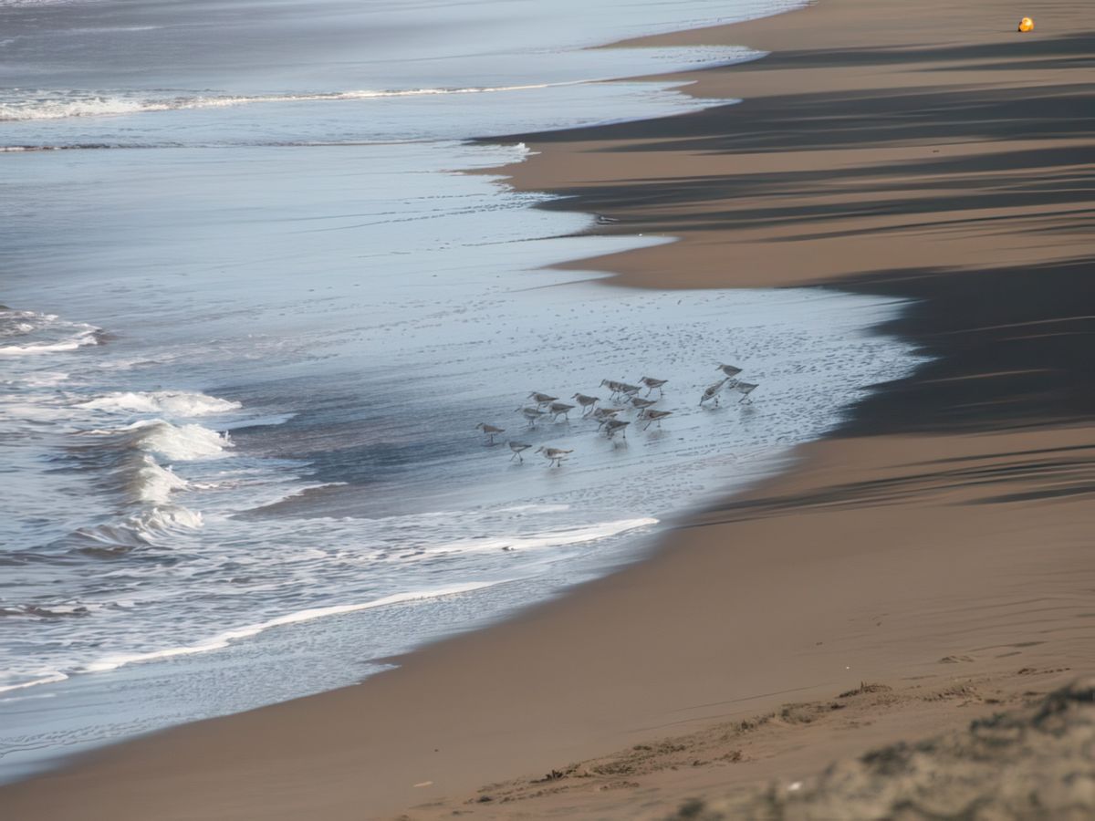 Plage prés du village de Tortuguero