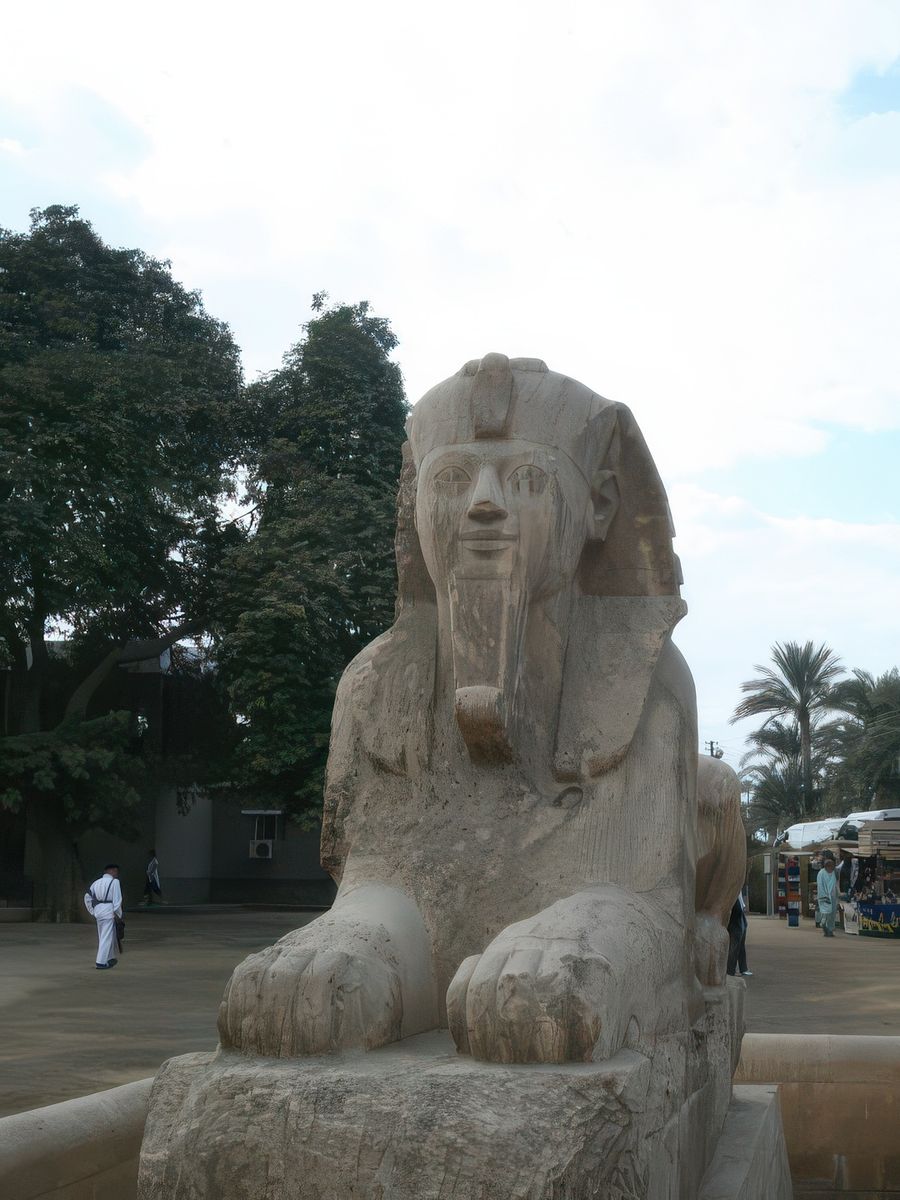 Le sphinx de Menphis qui, lui, a conservé son nez !