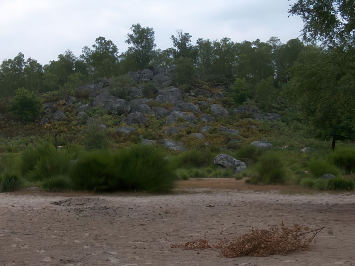 Roche et désert de sable parmi la végétation telle est la particularité des "Gorges d'Apremont"