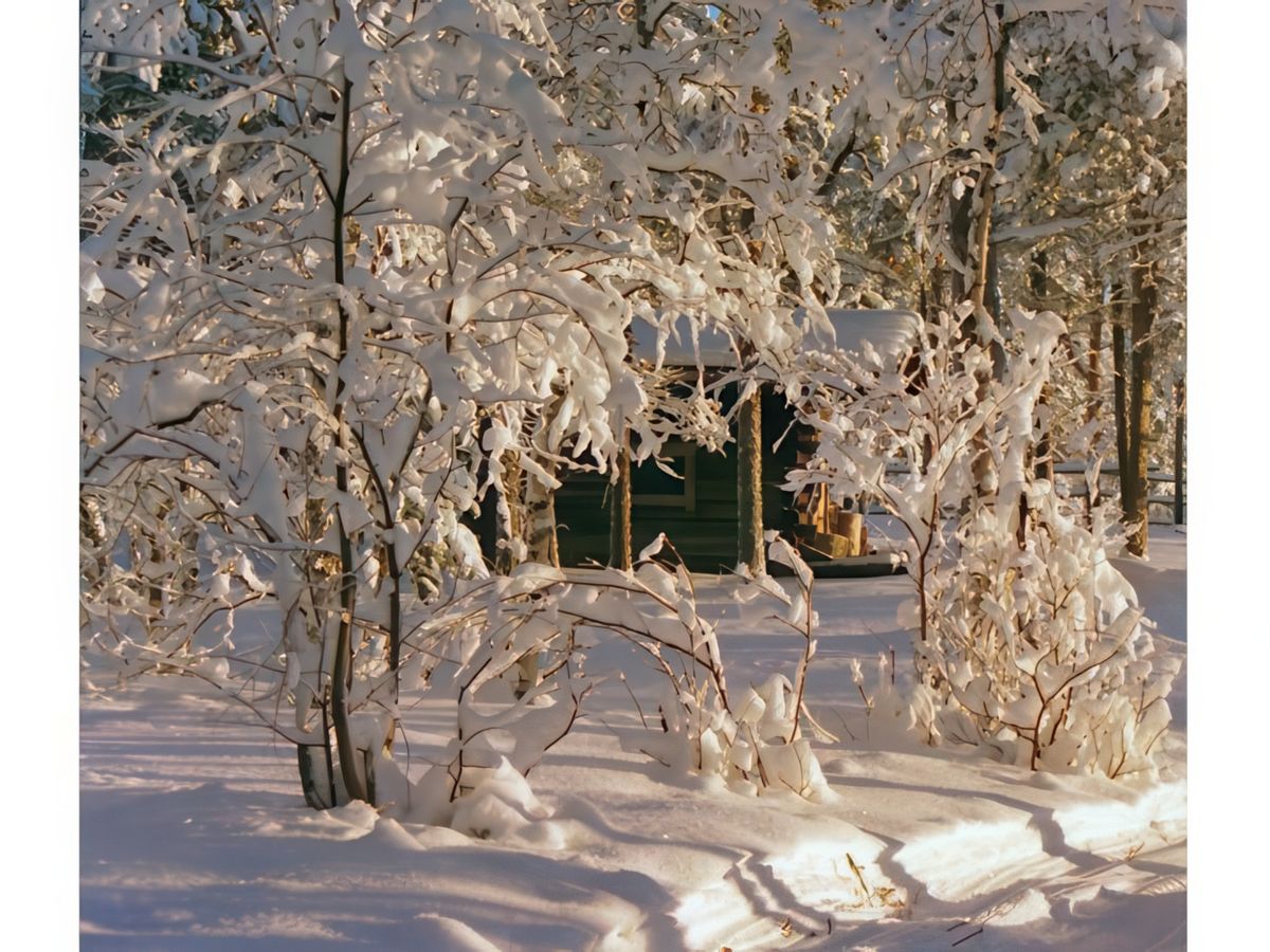 Une bonne dose de neige, et comme il n'y a pas eu beaucoup de vent,elle tient sur les branches.