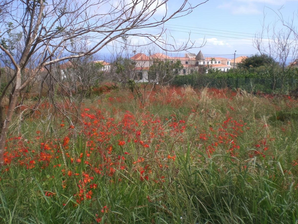 Santana – Portugal