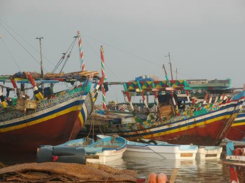 Boutres des pêcheurs