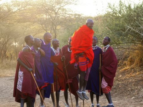 Serengeti, Tarangire, Longido, Ngorongoro, Arusha, Parc d'Arusha – Tanzanie