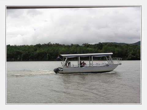 DAINTREE RIVER