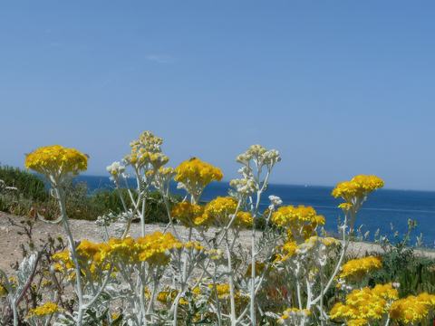 L'Ile de Bendor
