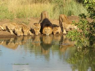 photo La faune de fredy74