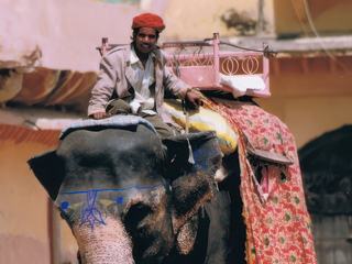 Inde