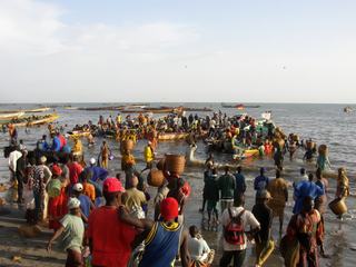Sénégal 2003 - retour de pèche à Jola