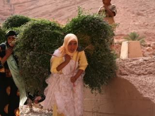 Scène de travail vue au Maroc, en plein mois d'août.