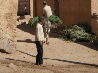 Dans une kasbah, au Maroc, la vie s'écoule doucement...