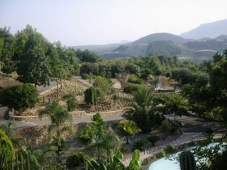Cactuseraie de l'Algar, Comunidad Valenciana, Espagne.
