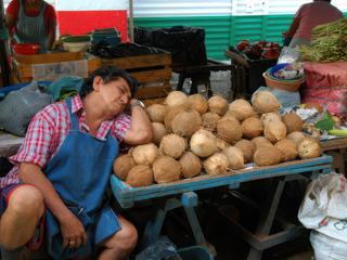 photo Les marchés du monde de stéphanie