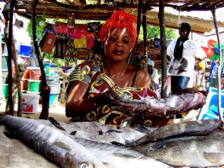 Marché de Foudiougne (Siné Saloum Sénégal)
poissonnière et son étal