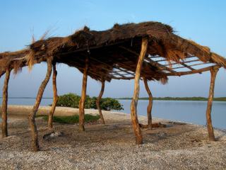 Janvier 2008 - Sénégal - A Quelques encablures de Toubacouta.
Sérénité devant l'immensité et la beauté du Siné Saloum.