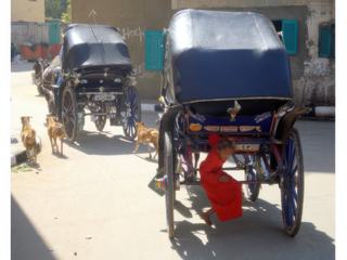 photo Les moyens de transport de Fabrice