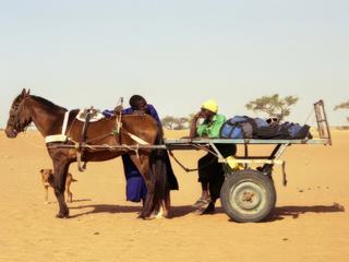 Fouta dans la région nord du Sénégal, la charrette est le meilleur moyen de transport.