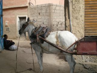 Ruelle typique au Maroc