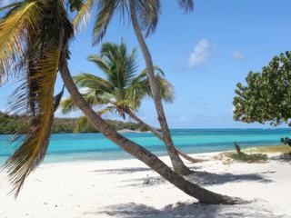 Sur la plage de Tobago Cays (iles Grenadines), le paradis sur Terre !